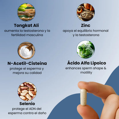 Cápsulas para la Salud Masculina con Estudios Clínicos
